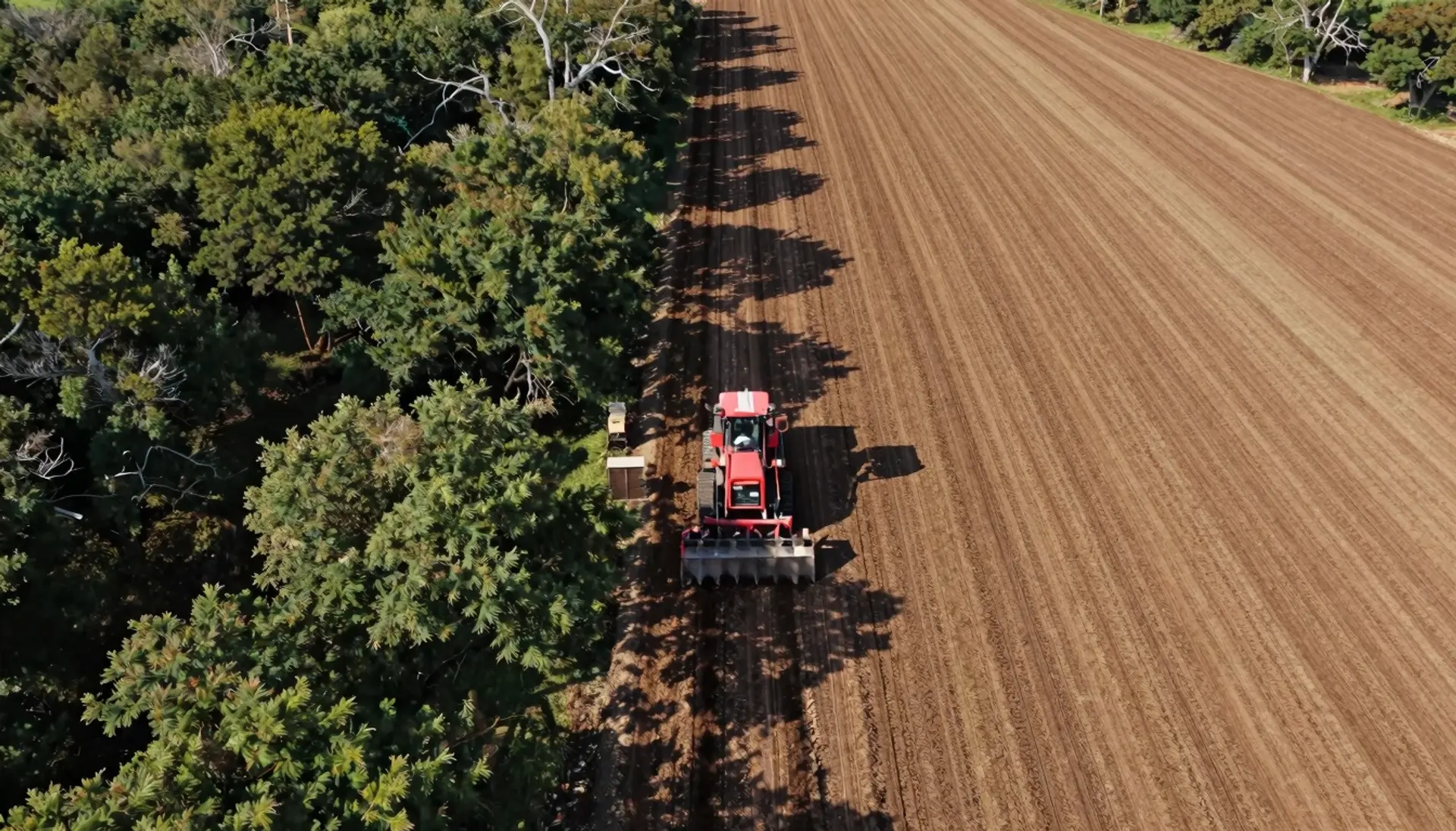 Aerial view of a mulching machine clearing dense brush into open ground